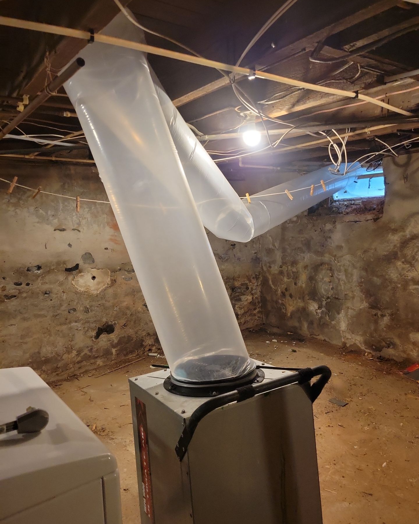 Butler Mold Removal: Protecting Your Home and Health